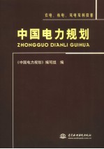 中国电力规划  农电、核电、风电及科技卷