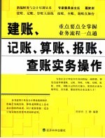 建账、记账、算账、报账、查账实务操作