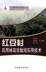 红豆杉药用林高效栽培实用技术