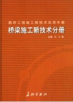 路桥工程施工新技术实用手册：桥梁施工新技术分册  下