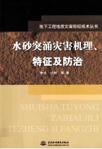 水砂突涌灾害机理、特征及防治