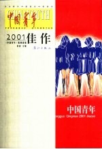 中国青年2001佳作