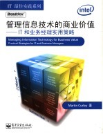 管理信息技术的商业价值 IT和业务经理实用策略 practical strategies for IT and business managers