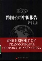 2009跨国公司中国报告