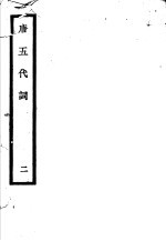 唐五代词  第2册