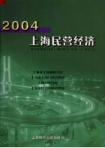 2004上海民营经济