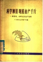 科学种田  晚稻亩产千斤  黄厝尾、内畔大队高产经验