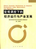 宏观调控能力下的经济运行与产业发展  2005年