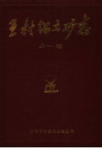 王村铝土矿志  全一卷  1962-1985