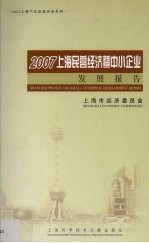 2007上海民营经济暨中小企业发展报告