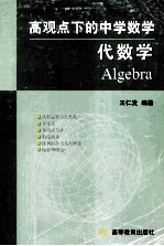 高观点下的中学数学  代数学