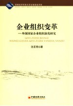 企业组织变革  外围国家企业组织演化研究