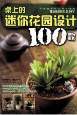 桌上的迷你花园设计100款