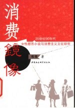 消费镜像  20世纪90年代女性都市小说与消费主义文化研究