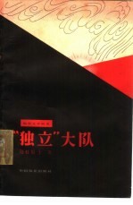 电影文学剧本  “独立”大队