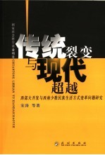 传统裂变与现代超越  西部大开发与西南少数民族生活方式变革问题研究