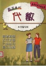 高考实战训练丛书  数学系列  代数