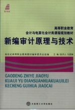 新编审计原理与技术