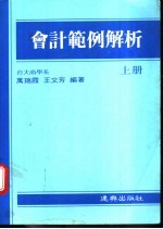 会计范例解析  上