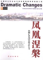 凤凰涅槃：抚顺矿业集团有限责任公司  2008年版