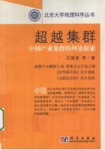 超越集群  中国产业集群的理论探索