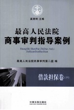 最高人民法院商事审判指导案例  借款担保卷  下