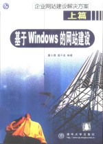 企业网站建设解决方案 上篇 基于Windows的网站建设