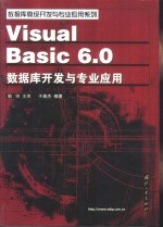 Visual Basic 6.0数据库开发与专业应用