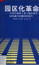 园区化革命  中国小城镇工业与城市化中园镇融合问题国情报告