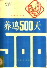 养鸡500天