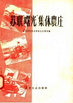 苏联“曙光”集体家庄