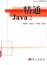 精通Java 2