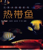 完美水族箱系列  热带鱼