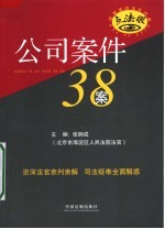 公司案件38案