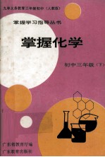 九年义务教育三年制初中（人教版） 掌握学习指导丛书  掌握化学  初中三年级  下