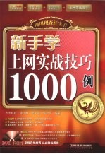 新手学上网实战技巧1000例