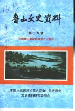 鲁山文史资料  第18辑  纪念鲁山县政协成立二十周年