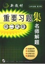 名师解题  初二代数