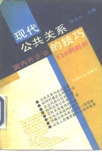 现代公共关系的技巧  国内外企业120例剖析