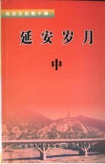 延安文史  第10辑  延安岁月  中