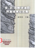 文、卫、马断块油田开发技术论文集