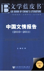 中国文情报告  2010-2011