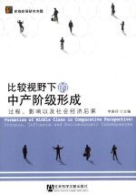 比较视野下的中产阶级形成  过程、影响以及社会经济后果