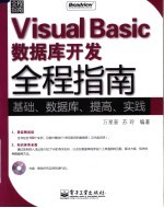 Visual Basic数据库开发全程指南