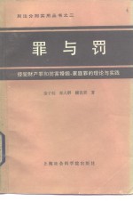 罪与罚-侵犯财产罪和妨害婚姻、家庭罪的理论与实践