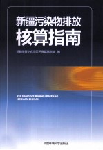 新疆污染物排放核算指南