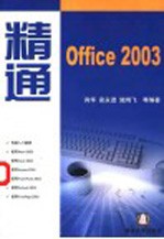 精通Office 2003