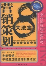 营销策划8大法宝  营销员晋升必读