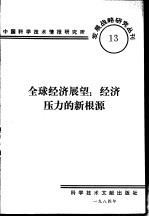 全球经济展望  经济压力的新根源