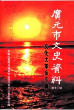 广元市文史资料  第13辑  文化大革命史料专辑